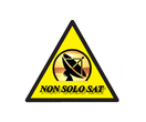 Logo di NON SOLO SAT