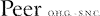 Logo di PEER