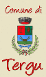 Logo di COMUNE DI TERGU