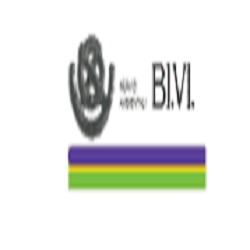 Logo di BI.VI.