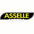Logo di ASSELLE MOBILI