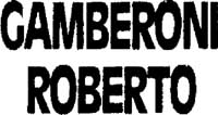 Logo di GAMBERONI ROBERTO