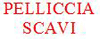 Logo di PELLICCIA SCAVI
