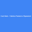 Logo di COSTI DI VILLANI ANNAMARIA FABBRICA E VENDITA PARALUMI E RIPARAZIONI