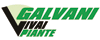 Logo di GALVANI PIANTE
