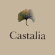Logo di OLGA CHIAIA STUDIO DI PSICOTERAPIA INTEGRATA CASTALIA