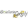 Logo di GIOIELLERIA LONGHI OROLOGERIA