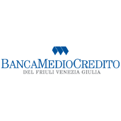 Logo di BANCA MEDIOCREDITO DEL FRIULI VENEZIA GIULIA SPA