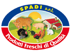Logo di SPADI