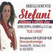 Logo di ABBIGLIAMENTO STEFANI