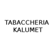 Logo di TABACCHERIA KALUMET - LAVANDERIA SELF SERVICE SPEEDY WASH