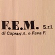 Logo di F.E.M.