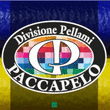 Logo di PACCAPELO DIVISIONE PELLAMI