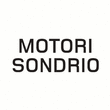 Logo di MOTORI SONDRIO