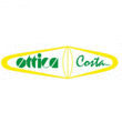 Logo di OTTICA COSTA