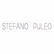 Logo di PITTORE STEFANO PULEO