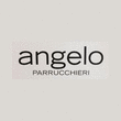 Logo di ANGELO PARRUCCHIERI