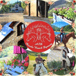 Logo di PICCOLO RANCH DYNASTY ASD