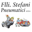 Logo di F.LLI STEFANI