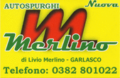 Logo di NUOVA MERLINO