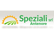 Logo di SPEZIALI ANTENORE