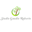Logo di STUDIO DR. ROBERTO GAUDIO