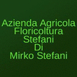 Logo di AZIENDA AGRICOLA FLORICOLTURA STEFANI