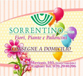 Logo di ONORANZE FUNEBRI E FIORICOLTURA SORRENTINO