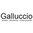 Logo di GALLUCCIO ANGELO