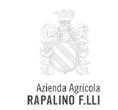 Logo di RAPALINO VINI