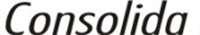 Logo di CONSOLIDA srl