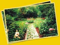 Logo di IL GIARDINAGGIO