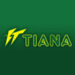 Logo di TIANA INFISSI
