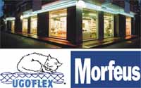 Logo di UGOFLEX snc
