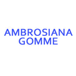 Logo di AMBROSIANA GOMME