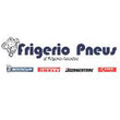Logo di FRIGERIO GROUP