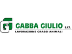 Logo di GABBA GIULIO