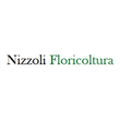 Logo di NIZZOLI FLORICOLTURA