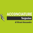 Logo di ACCONCIATURE TERGESTEO