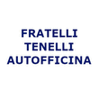 Logo di TELLINI FRATELLI AUTOFFICINA SNC DI EROS E MAURO