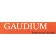 Logo di CASA DI RIPOSO R.S.S.A. GAUDIUM