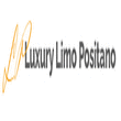 Logo di LUXURY LIMO POSITANO