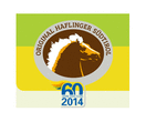 Logo di HAFLINGER SUDTIROL