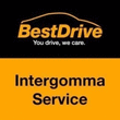 Logo di INTERGOMMA SERVICE