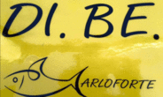 Logo di AUTONOLEGGIO DIBE