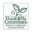Logo di AZIENDA AGRICOLA VIVAI DELLA COLOMBARA