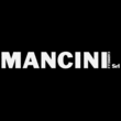 Logo di MANCINI CARRELLI