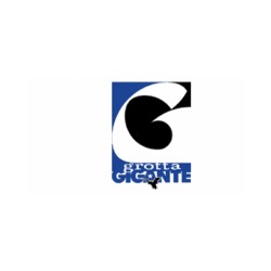Logo di GROTTA GIGANTE