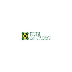 Logo di FIORI DEL CARSO