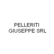 Logo di PELLERITI GIUSEPPE